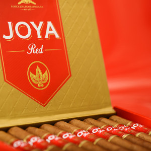joya red cigar 061