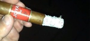 joya de nicaragua red cigar joya red review stick reviews
