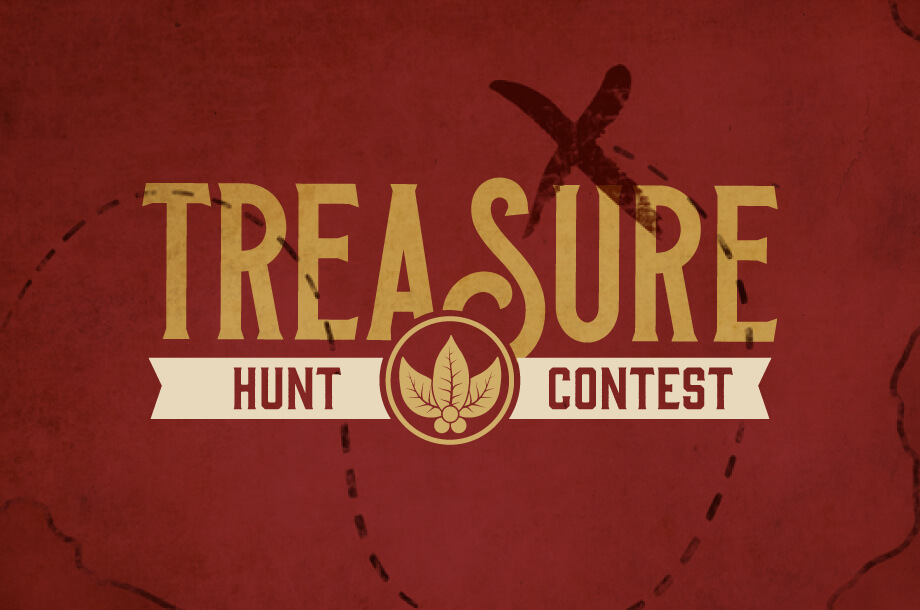 Treasure Hunt blog cover 1