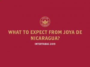 What to expect from Intertabac 2019