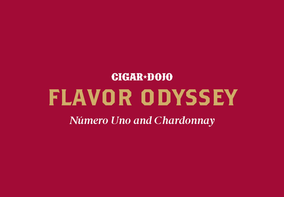 flavor odyssey
