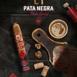 JDN Antaño CT Pata Negra