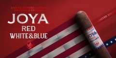 JDN Joya Red White and Blue